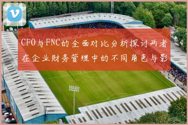 CFO与FNC的全面对比分析探讨两者在企业财务管理中的不同角色与影响