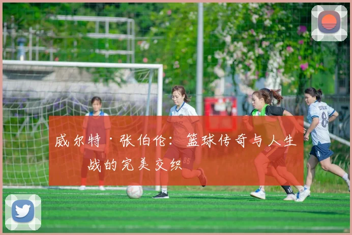 威尔特·张伯伦：篮球传奇与人生挑战的完美交织
