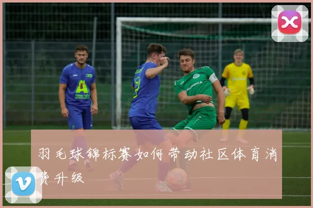 羽毛球锦标赛如何带动社区体育消费升级