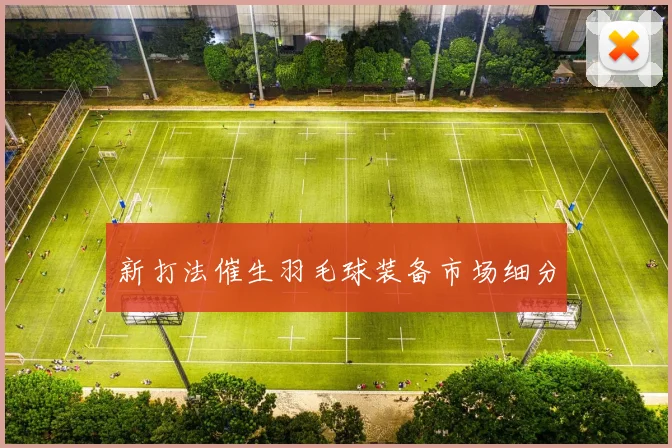 新打法催生羽毛球装备市场细分
